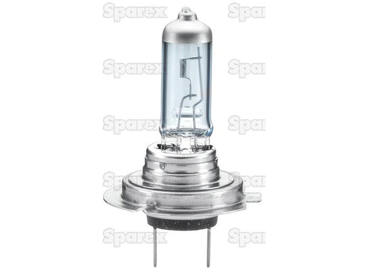 Lâmpada 12V 55W PX26d Blister (S.165694)