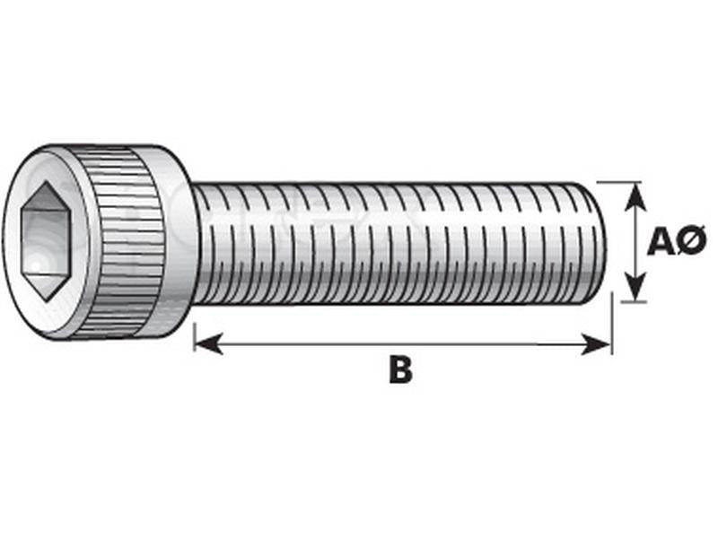 Parafuso Cabeça redonda sextavado interior, Tamanho: M14 x 40mm (Din 912) (S.53914)